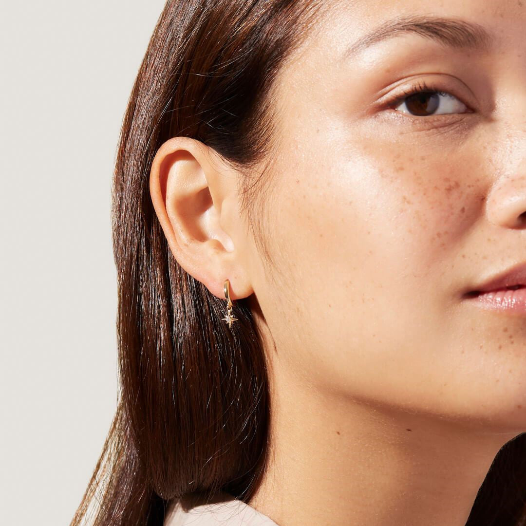 Awn Star Zircon Earrings